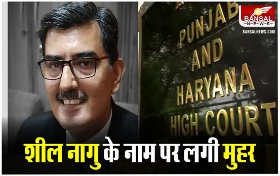 MP News: शील नागु होंगे पंजाब और हरियाणा उच्च न्यायालय के नए मुख्य न्यायाधीश, राष्ट्रपति ने लगाई मुहर