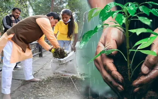 MP News: प्रदेशभर में 5 करोड़ 50 लाख पौधे लगाएगी मोहन सरकार, नमामि गंगे अभियान के तहत लिया फैसला