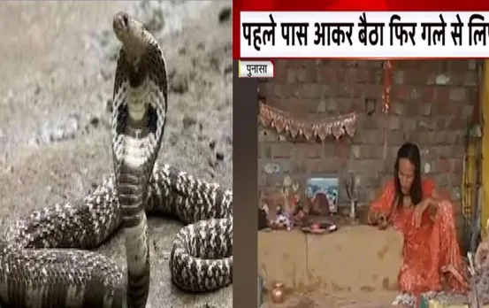 MP News: अंधविश्वास की घटना को रोकने के लिए वन विभाग कर रहा सतर्क, बुंदेलखंड और खंडवा में हुई थी घटना