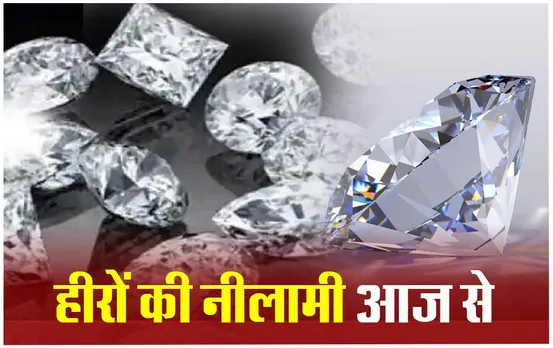 Panna Diamond Auction: पन्ना में हीरों की नीलामी आज से, ये हीरे होंगे खास, क्या हैं नीलामी के नियम