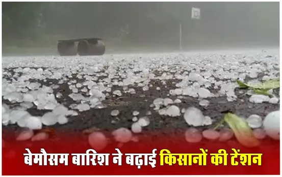 Crop Damage In MP: किसानों को जल्द मिलेगी राहत राशि, ओलावृष्टि से खराब हुई फसल के सर्वे का आदेश, मंत्री और विधायक करेंगे मॉनिटरिंग