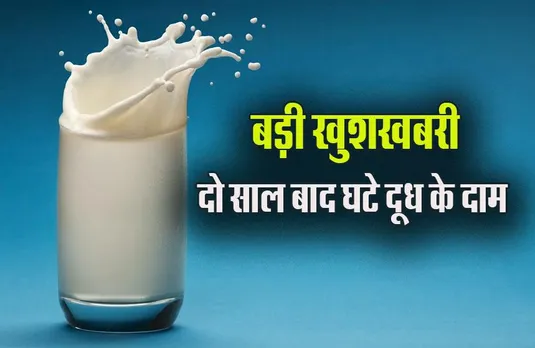 MP Indore Milk Price: बढ़ती महंगाई के बीच आम जनता को बड़ी राहत, सस्ता हुआ दूध, अब मिलेगा इतने रुपए लीटर