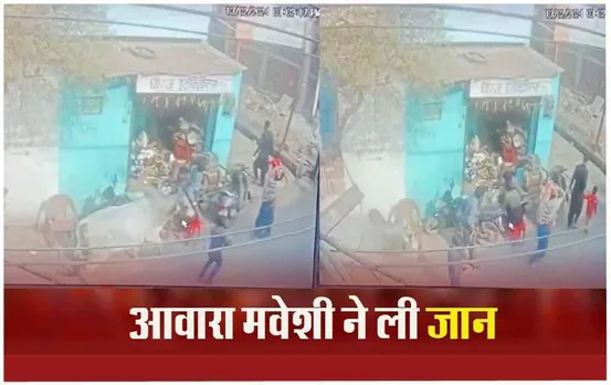 MP News: सांड ने बुजुर्ग को उठा के फेंका, मौत, निगम ने आवारा मेवशी को पकड़ा, घटना सीसीटीवी में कैद