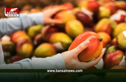 Mango Testing Tips: कैसे पहचानें, आम खट्टा है या मीठा, ये है तरीका
