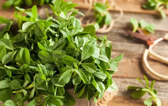 Methi Leaves Benefits: औषधीय गुणों से भरपूर हैं घर में उगे ये पत्ते, सर्दियों में इसे खाने से मिलेंगे 6 गजब के फायदे