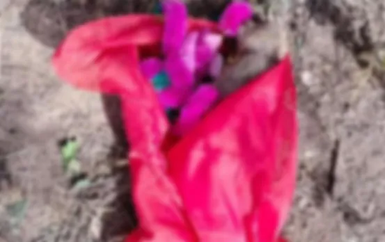 MP News: बंदर का हिंदू रीति-रिवाज से किया अंतिम संस्कार, दबंगों ने पुलिसकर्मी को पीटा