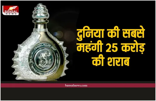 Most Expensive Bottle Of Wine : ये है दुनिया सबसे महंगी शराब की बोतल, खरीदने के लिए बेचना पड़ेगा घर