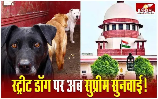 MP News: सुप्रीम कोर्ट पहुंचा आवारा कुत्तों की धरपकड़ का मामला, पीपुल्स फॉर एनिमल संस्था की याचिका पर मेयर से मांगा जवाब
