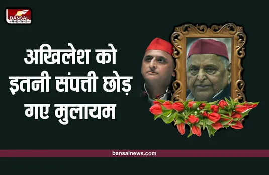 Mulayam Singh Net Worth : बेटे अखिलेश को इतनी दौलत छोड़ गए नेता जी मुलायम सिंह