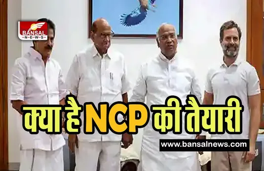 Karnataka Assembly Election 2023:  40 से 45 सीटों पर अपने उम्मीदवार उतारेगी NCP ! जानें क्या है चुनाव की तैयारी