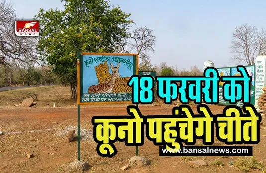 MP Kuno National Garden: 12 चीतों का दूसरा जत्था दक्षिण अफ्रीका इस दिन पहुंचेगा कूनो, जानिए पूरी खबर