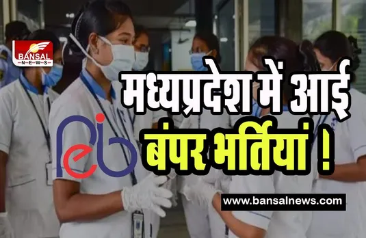 MPPEB Recruitment 2023: मध्यप्रदेश में आई बंपर भर्तियां ! 29 मार्च 2023 से पहले इन पदों पर कर ले आवेदन, जानें पूरी डिटेल्स