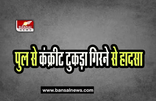 Delhi Metro Station Incident: मेट्रो स्टेशन के पुल से कंक्रीट टुकड़ा गिरने से हादसा, कार हुई क्षतिग्रस्त