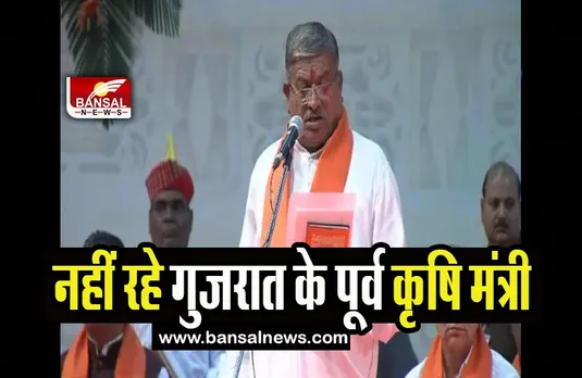 Vallabhbhai Vaghasia Passed Away: नहीं रहे गुजरात के पूर्व कृषि मंत्री वाघासिया, गांव से लौट रहे थे सावरकुंडला