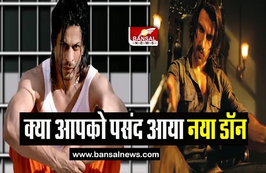 Don 3 Ranveer Singh: डॉन 3 अब ये लीड एक्टर मचाएगा धमाल, नहीं नजर आएगें बॉलीवुड के किंग खान