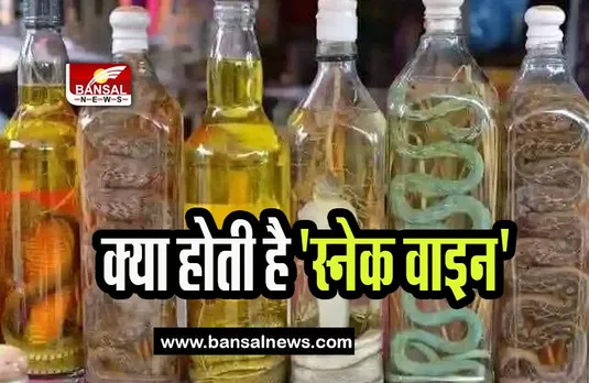 Snake Wine: क्या आपने कभी सांप से बनी शराब चखी है? जानिए इस अनोखी वाइन के बारे में