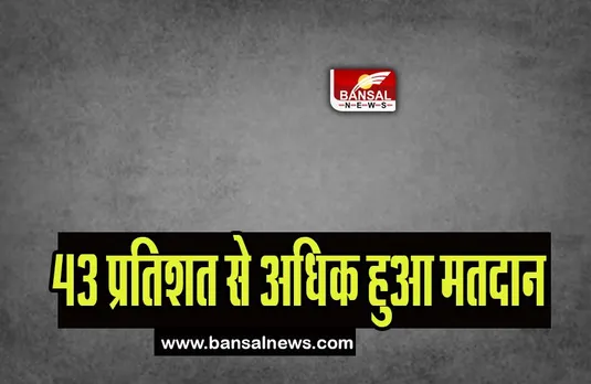 Shimla Municipal Corporation Election 2023: 43 प्रतिशत से अधिक हुआ मतदान, सुबह 8 बजे से शुरू हुई थी प्रक्रिया