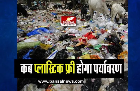 Plastic Free India: आखिर कब प्लास्टिक फ्री होगा पर्यावरण, हर साल 400 मिलियन टन होता है उत्पादन