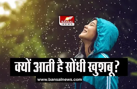 Monsoon 2023: पहली बारिश के बाद आखिर क्यों आती है सौंधी सी खुश्बू, जानिए इसका लॉजिक