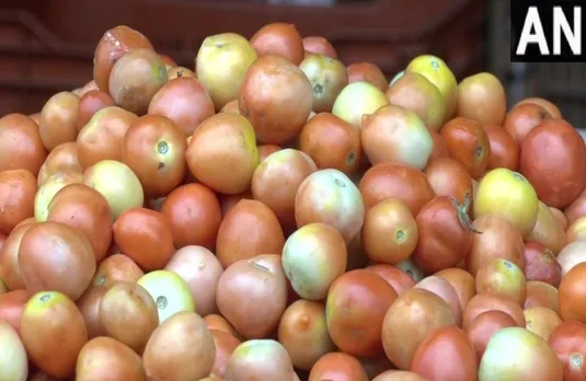 Tomato Hike Price: आसमान तक पहुंचे टमाटर के दाम, अगले 15 दिनों में फिर बढ़ेंगी कीमत यहां