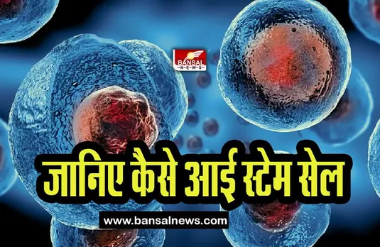 16 May Aaj Ka Ethihas: आज के दिन इंसानी भ्रूण के क्लोन से बनी स्टेम सेल, जानिए महत्वपूर्ण घटनाएं और कहानी