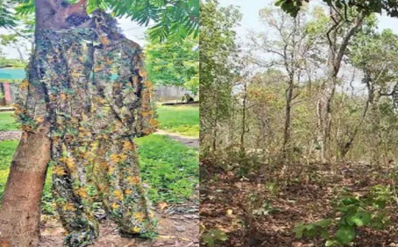 Naxali Invisible Suit: नक्सलियों ने बनाए स्पेशल सूट, बारिश में जवानों को चकमा देने की थी तैयारी; ऐसे खुला राज