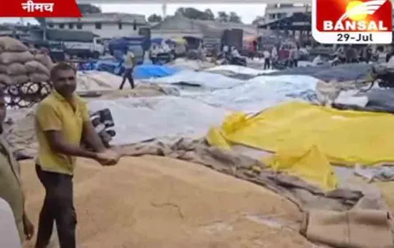 MP News: परेशान किसानों की सुनवाई कहीं नहीं, कृषि उपज मंडी में रखी हजारों क्विटंल फसल भीगी