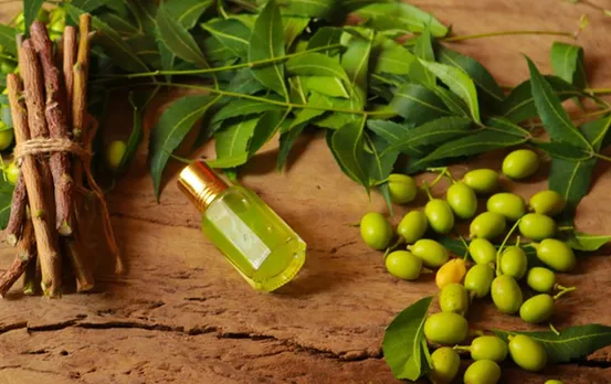 Neem Nimboli Benefits: रामबाण होती है नीम की निंबोली, जानिए खाने से क्या मिलते हैं फायदे