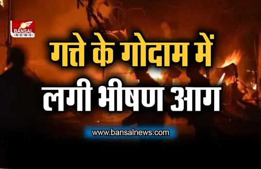 Noida Fire News: नोएडा में गत्ते के गोदाम में लगी भीषण आग, दो लोगों की मौत