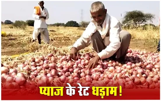 Onion Price: हमें सस्ती नहीं मिल रही प्याज, इधर लागत भी नहीं निकाल पा रहे किसान; सरकार के इस दांव से बदलेंगे हाल?