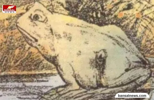 Optical Illusion : इस तस्वीर में आपको क्या घोड़ा दिखाई दे रहा है, नहीं तो पढ़े खबर