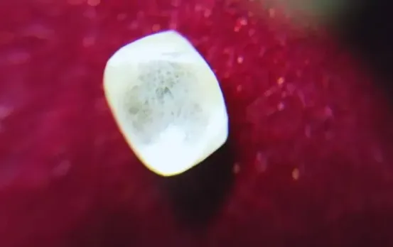 पन्ना का किसान रातोंरात हुआ मालामाल: खुदाई में मिला नायाब हीरा, कीमत जानकर हैरान रह जाएंगे आप