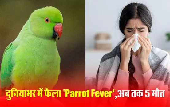 Parrot Fever Outbreak: पैरेट फीवर से सावधान! 5 मौतों से बढ़ी चिंता, WHO बोला- 4 देशों में 81 मामले सामने आ चुके