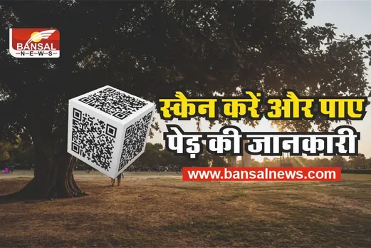 QR CODE ON TREE : अब क्यूआर कोड से स्कैन करके जाने पेड़ की पूरी जानकारी