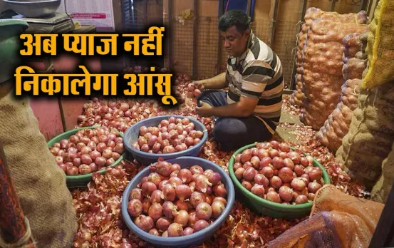 क्या है Radiation Processing की योजना: सरकार ने इस सब्जी के रेट पर लगाम लगाने के लिए किया यह इंतजाम