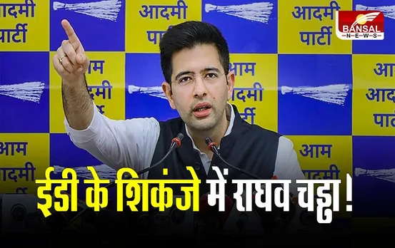 Delhi Liquor Policy Case: दिल्ली शराब घोटाले में राघव चड्ढा का नाम, AAP सांसद ने किया खंडन