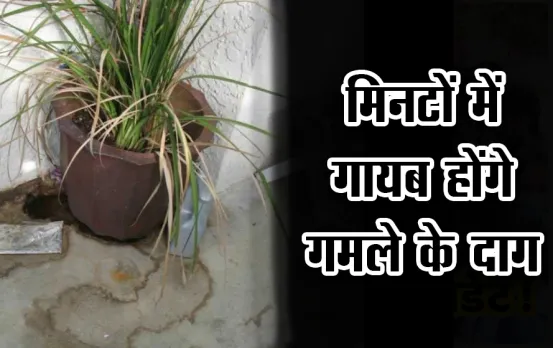 Remove Flower Pot Stains Tips: टेरिस गार्डन में रखे गमलों से टाइल्स पर बने जिद्दी दाग, ट्रिक से मिनटों में से करें साफ़