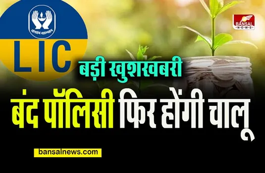 LIC NEWS: एलआईसी ने त्योहार में दी बड़ी खुशखबरी, बंद पॉलिसी फिर से होंगी चालू