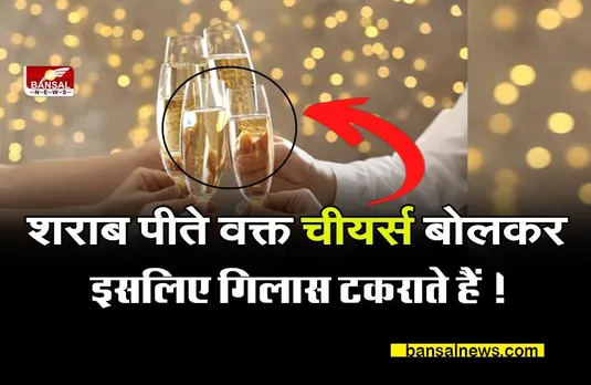 why Cheers on before drink: क्यों शराब पीते वक्त चीयर्स बोलकर गिलास टकराते हैं? पार्टी में जाने से पहले कारण जान लीजिए