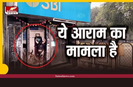 Shajapur SBI ATM : SBI के एटीएम में दो सांड, उपभोक्ता परेशान