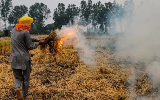 Stubble Burning Cases: पंजाब सरकार का दावा, इस वर्ष पराली जलाने की घटनाओं में 50 प्रतिशत की कमी लाएगा पंजाब