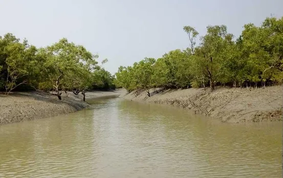 Sundarban Mangrove Region: दुनियाभर में सबसे अधिक बच्चे बंगाल के सुंदरबन में डूबते हैं, स्टडी में हुआ खुलासा, पढ़ें पूरी रिपोर्ट