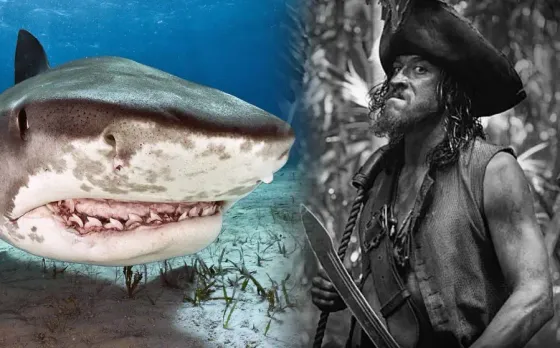 Tamayo Perry Passed Away: पाइरेट्स ऑफ द कैरेबियन के मशहूर एक्टर की मौत, जिंदा चबा गई शार्क; सर्फिंग के दौरान हुआ हादसा