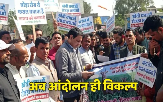 हमारी भी सुनो सरकार: प्रदेश के इस जिले में एक जानवर बना किसानों के लिए आफत, सारी कोशिश हुई नाकाम; अब ये करेंगे किसान