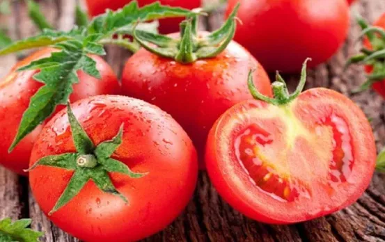 Kidney Stone: टमाटर से किडनी स्टोन होने वाली बात में कितना है दम? जानें पूरा सच