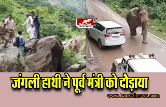 Uttarakhand News: पूर्व सीएम के पीछे पड़ा जंगली हाथी, चट्टान पर चढ़कर बचाई जान, देखें वीडियो
