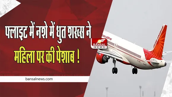 Air India Flight Man Urinates on woman: फ्लाइट में नशे में धुत शख्स ने महिला पर की पेशाब ! 'नो-फ्लाई लिस्ट' में डालने की सिफारिश