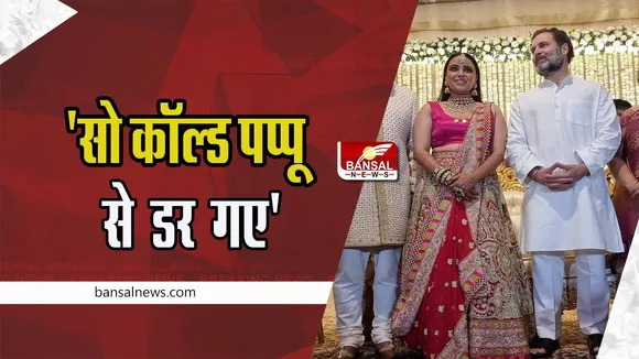 Swara Bhasker Tweet On Rahul Gandhi: राहुल गांधी की संसद से सदस्यता मामले पर क्या बोली स्वरा ! कितने डरे हुए हैं पप्पू से