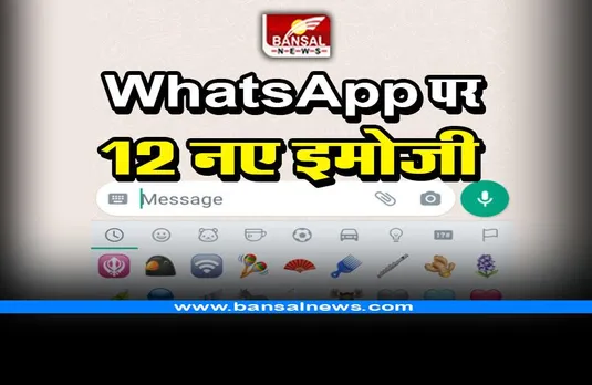 WhatsApp big update : 12 नए इमोजी जोड़े गए, घोड़ा, अदरक, कंघी भी शामिल