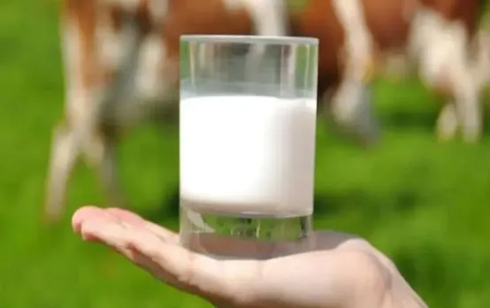 World Milk Day 2024: मिल्क प्रोडक्शन में MP मार रहा बाजी, इतने मीट्रिक टन K हो रहा उत्पादन; युवा ऐसे बनाएं करियर